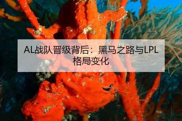 AL战队晋级背后：黑马之路与LPL格局变化